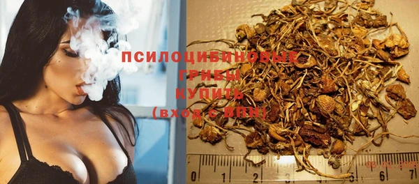трава Протвино