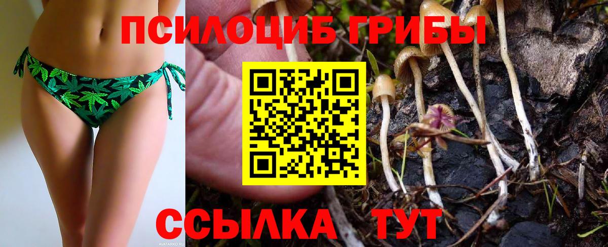 Галлюциногенные грибы ЛСД  наркошоп  Рязань  Вход с VPN  Псилоцибиновые грибы Cubensis 
