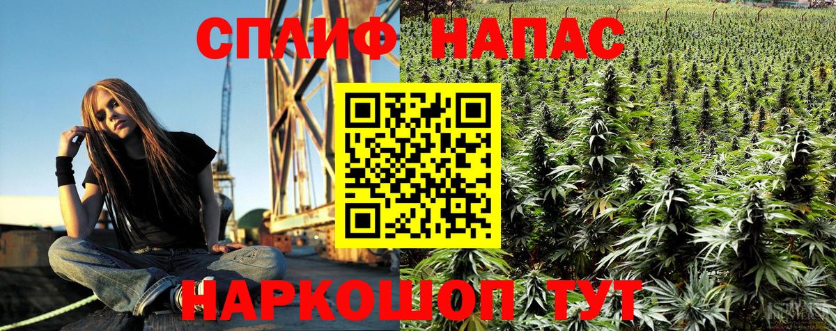 Каннабис OG Kush  Шишки марихуана THC 21%  Вход с VPN  Рязань  Канабис AK-47 